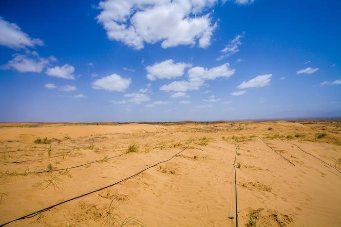 1744272135614.jpg 1744272135614.jpg