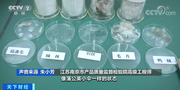 0528bae153fb10540372104372f2f4f5_640_wx_fmt=png&wxfrom=5&wx_lazy=1&wx_co=1.png 0528bae153fb10540372104372f2f4f5_640_wx_fmt=png&wxfrom=5&wx_lazy=1&wx_co=1.png