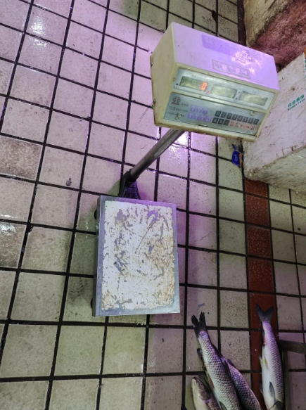 1734319680925.png 1734319680925.png